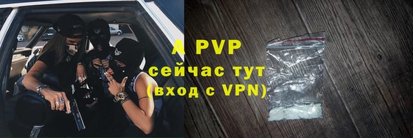 a pvp Коряжма