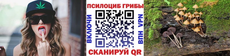 Галлюциногенные грибы мицелий  Купить где  Барыш 